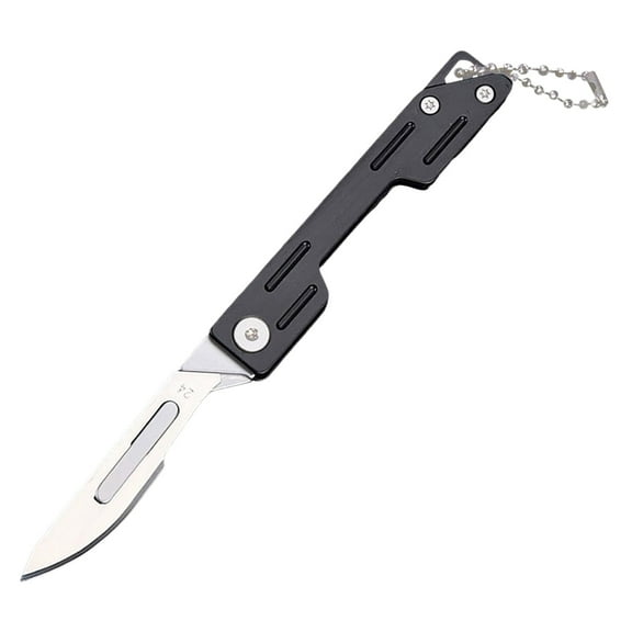 Stainless Steel Mini Carving Utensils,Sharp and Practical Art Tools with Replacement Blades