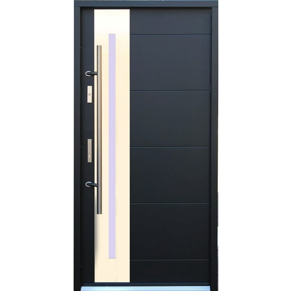 Stainless Steel Modern Entry Door in Black