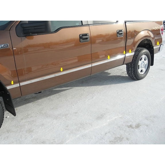 Stainless Steel Molding Insert 12Pc Fits 2009-2014 Ford F-150 MI49317 QAA