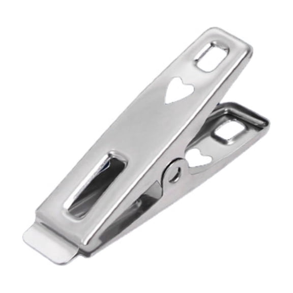 Stainless Steel Multi-Purpose Clips, Heavy Duty Towel & Laundry Pegs, Metal Spring Fastener Clamps, Rust Resistant Holding Pegs for Clothesline Textiles, Snack Bags, Bath Towels & Quilt Storage,A