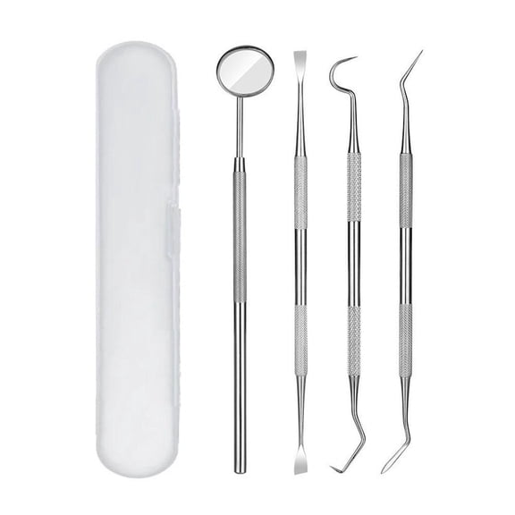 Stainless Steel Oral Care Hygiene Kit, Remover Tools Set for Teeth Cleaning, 1-Set