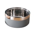 thumbnail image 1 of Stainless Steel Pet Bowl Customizable Name Embossed Non Silicone Base Durable for Dog Cat Food Water Feeding, 1 of 5
