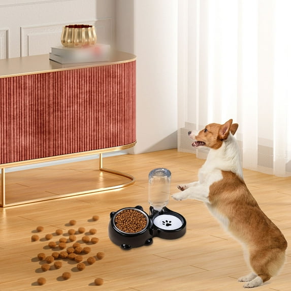 Stainless Steel Pet Bowl Feeder with Removable Water Dispenser for Cats and Dogs Two in One Partition Set Slanted Design for Easy Feeding and Drinking