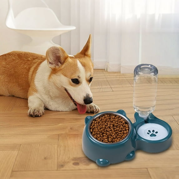 Stainless Steel Pet Bowl Feeder with Removable Water Dispenser for Cats and Dogs Slanted Design Two in One Partition Set Durable Indoor Use
