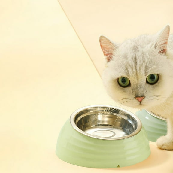 Stainless Steel Pet Bowl with Non Slip Base 7.2 Inch Dual Compartment Dog Food Water Feeder Dish Removable Easy Clean Dishwasher Safe