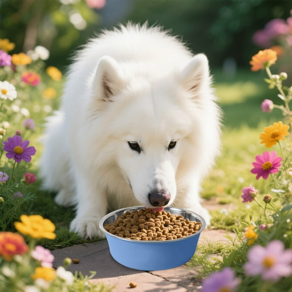 Stainless Steel Pet Bowls – Durable Easy To Clean Dishwasher Metal Food & Water Dishes For Dogs Cats Puppies Home Kennels Feeding