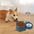 thumbnail image 1 of Stainless Steel Pet Feeder and Water Dispenser with Two In One Partition Set Slanted Design for Cats and Dogs, 1 of 4