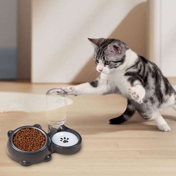 Stainless Steel Pet Feeder and Water Dispenser with Two In One Partition Set Slanted Design for Cats and Dogs