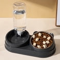 thumbnail image 1 of Stainless Steel Pet Food Bowl and Automatic Waterer, 2 in 1 Tilted Raised Cat Food Bowls for Indoor Cats, Non-Slip Base, 1 of 7
