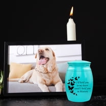 Stainless Steel Pet Urns,Premium Urns for Dog and Cat Ashes,Suitable Size Urns for Pet Ashes (Small, Blue)