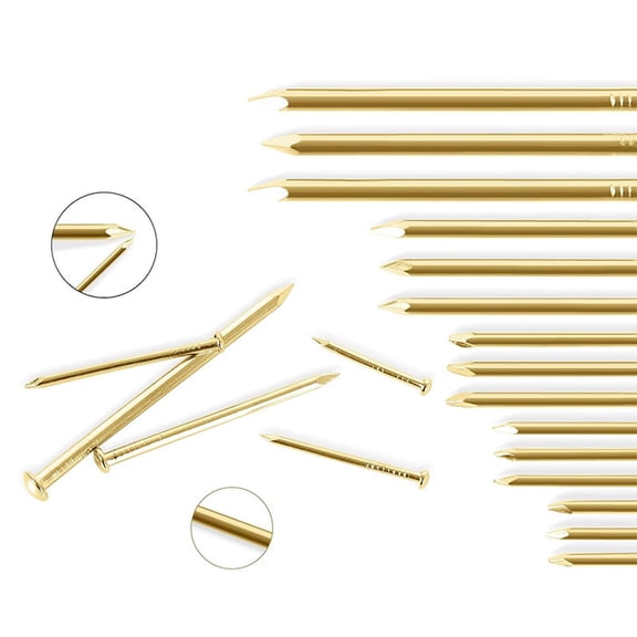 Stainless Steel Picture Hanging Nails for Dry Wall Nails for Hanging Pictures on Drywall Wood Frames Rust-Resistant Assorted Finishing Nails Kit with 5 Sizes 350PCS for Home Decor Shelves Art