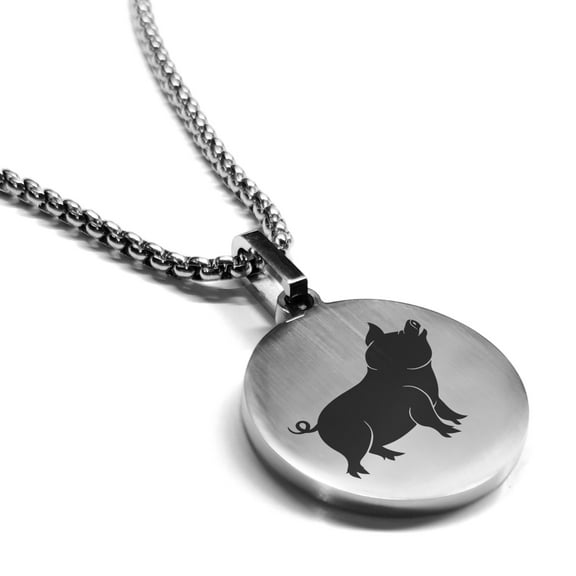 Stainless Steel Pig Good Luck Charm Round Medallion Pendant Necklace