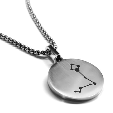 Stainless Steel Pisces (Two Fishes) Astrology Constellation Round Medallion Pendant Necklace