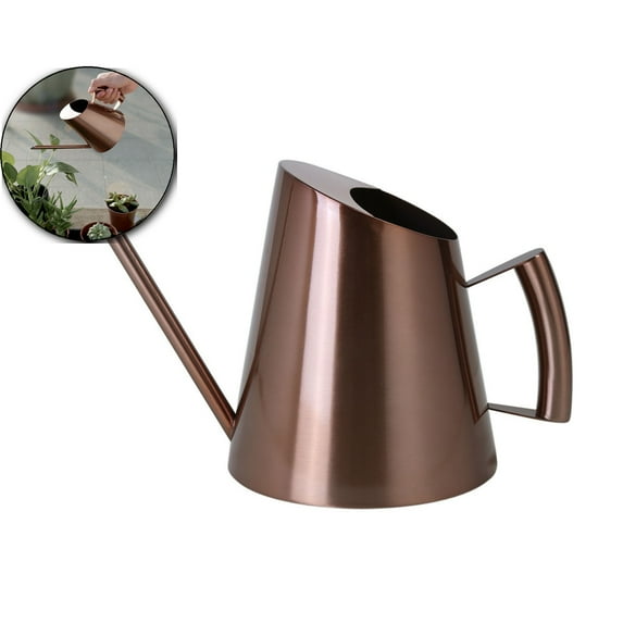 Stainless Steel Plant Watering Can, Long Spout Metal Waterer, Brushed Finish Garden Tool for Indoor Outdoor Use