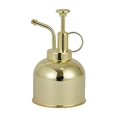 thumbnail image 1 of Stainless Steel Watering Can - Modern Small Watering Tool with Spray for Indoor Outdoor Potted Plants, Garden Spray Bottle (Gold), 1 of 3