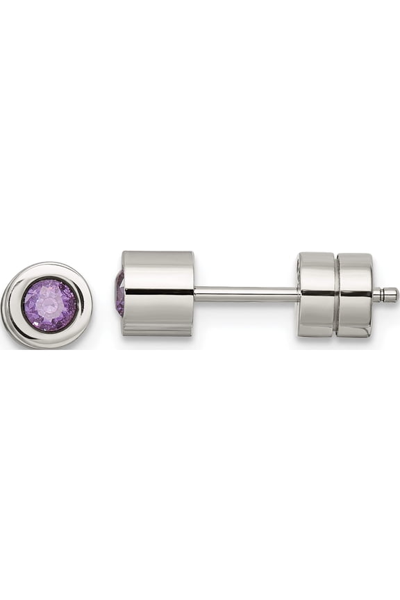 Stainless Steel Polished Purple Cz Feb Birthstone Post Earrings Made In China sre996
