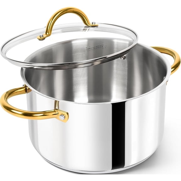 Stainless Steel Pots - 6 Qt Induction Pot with Lid, 18/10 Stainless Steel Stock Pot, Non Cooking Pot, Oven & Dishwasher Safe