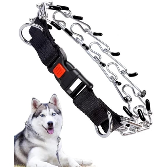 Key Apprenticeship Program Stainless Steel Prong Training Collar Quick Release Buckle Rubber Caps ...