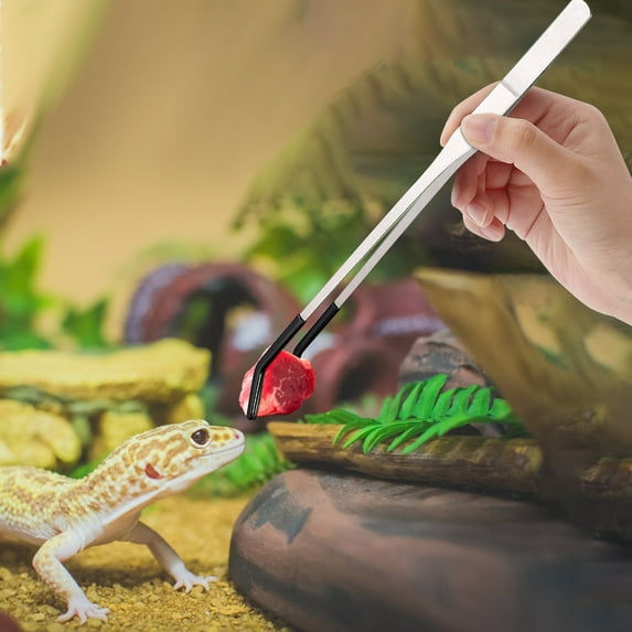 Stainless Steel Reptile Feeding Tongs With Rubber Tips, 10.6 Inch Straight & Curved Long Tweezers For Aquarium, Craft, Bearded Dragon Tank, Snakes Enclosure, Premium Durable