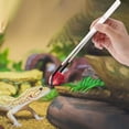 thumbnail image 1 of Stainless Steel Reptile Feeding Tongs with Soft Rubber Tips Curved Tweezers for Bearded Dragon Tank Snake Lizard Terrarium Maintenance, 11 Inch, 1 of 3