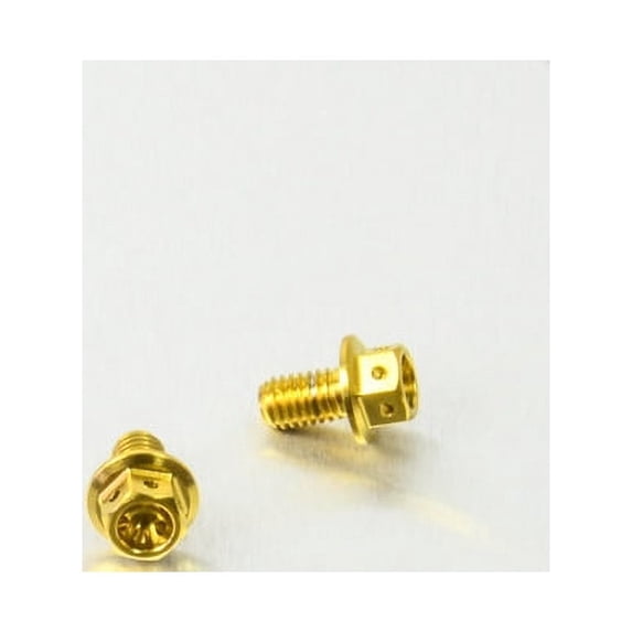 Stainless Steel Reservoir Mount Bolt Rear Brake Race Spec (RESMONRB120SSR)