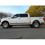 Stainless Steel Rocker Panel Trim 12Pc Fits 2015-2020 Ford F-150 TH55303 QAA