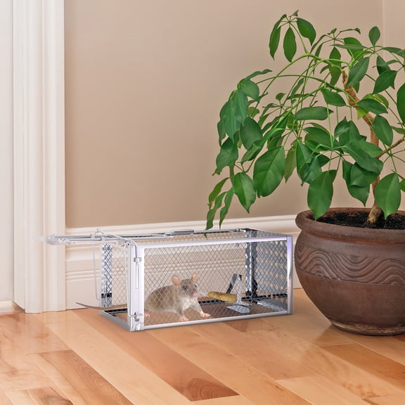 Stainless Steel Rodent Trap - High Sensitivity Pedal Auto-Locks Door, Humane Live Capture - Safe, Durable, Indoor/Outdoor Versatile Placement, Easy to Use