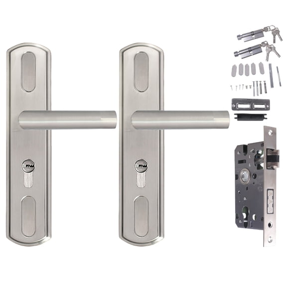 Stainless Steel Room Entry Door Handle with & Keys Security Door Levers Handle for Interior Door Patio Door