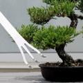 Stainless Steel Root Rake 3-Prong Loosen Soil Bonsai Tree Tools with Ergonomic Handle