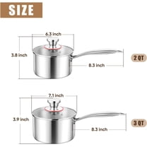Stainless Steel Saucepan Set - 2Qt & 3 Qt