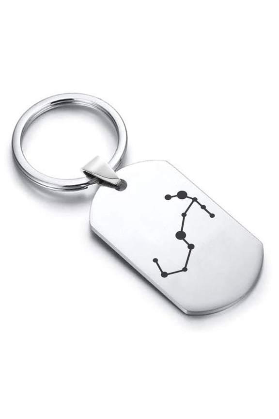 Stainless Steel Scorpio (Scorpion) Astrology Constellation Dog Tag Keychain Circle Ring