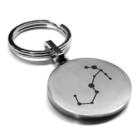 Stainless Steel Scorpio (Scorpion) Astrology Constellation Round Medallion Keychain Circle Ring