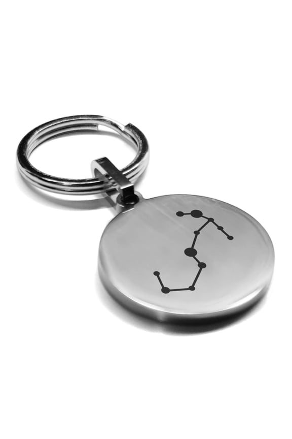 Stainless Steel Scorpio (Scorpion) Astrology Constellation Round Medallion Keychain Circle Ring