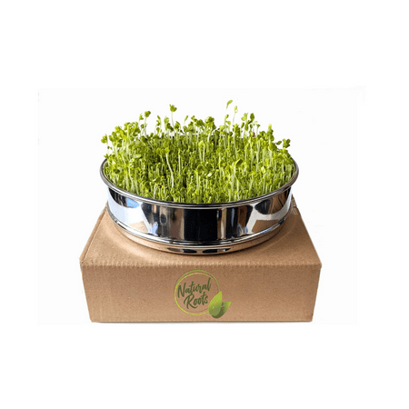 Stainless Steel Seed Sprouting Tray-8 Inch Stackable Sprouter Kit for Growing Fresh Organic Broccoli Sprouts, Wheat Grass, Alfalfa Seeds, Fenugreek, Mung Beans and More (Seeds not Included)