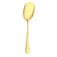 thumbnail image 1 of Stainless Steel Serving Spoons,1 Pcs Large Serving Spoons for Buffet, 8.6 inches Long, Basting Spoon, Metal Spoons Set for Kitchen Cooking Party Baking, Big Spoons with Long Handle(Gold2), 1 of 9