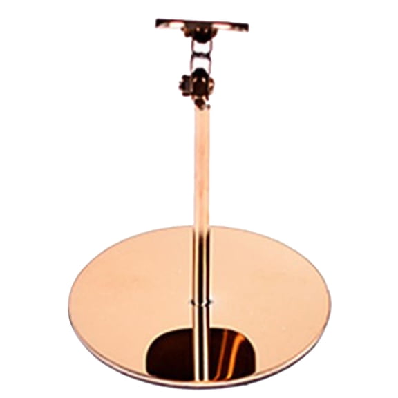 ifundom Rose High-Heeled Shoe Rack Stainless Steel Space-Saving Organizer for Shoes