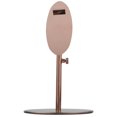 thumbnail image 1 of Heels Stand Multi-Functional Stainless Steel Shoe Display Stand for High Heels Sandals, 1 of 6