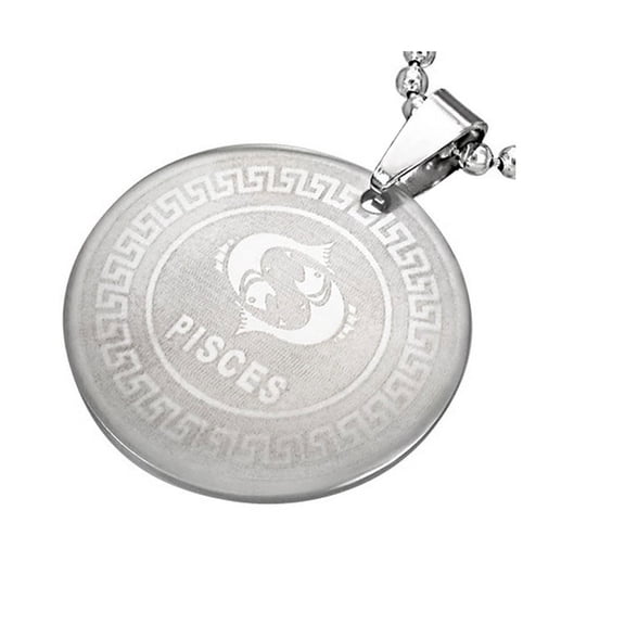 Stainless Steel Silver-Tone Necklace Pendant, Pisces, 24"