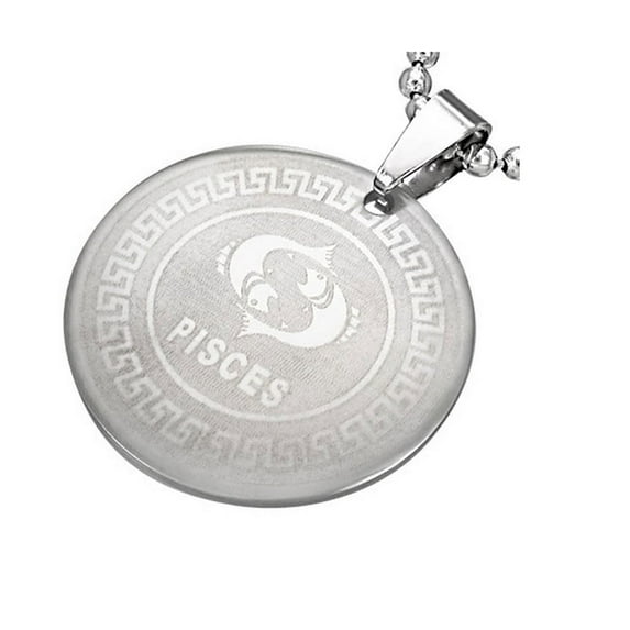 Stainless Steel Silver-Tone Necklace Pendant, Pisces, 24"