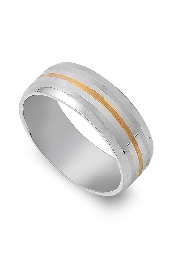 Stainless Steel Single Striped Row Two Toned Ring
