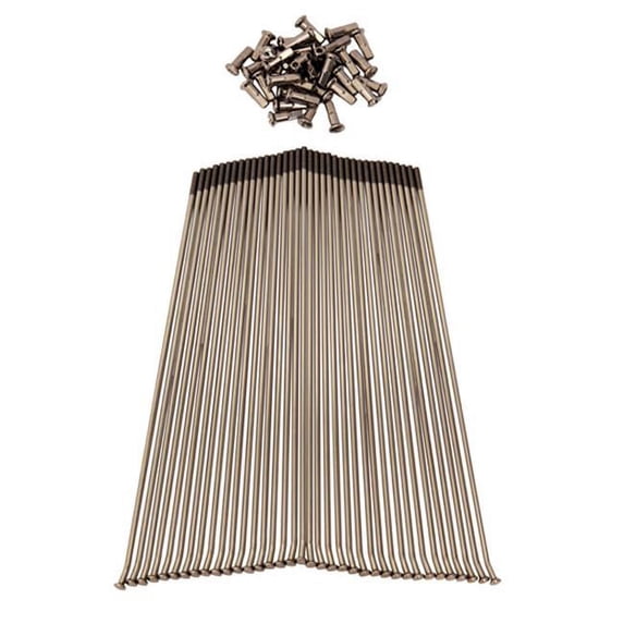 Stainless Steel Spoke Set - 18 in.
