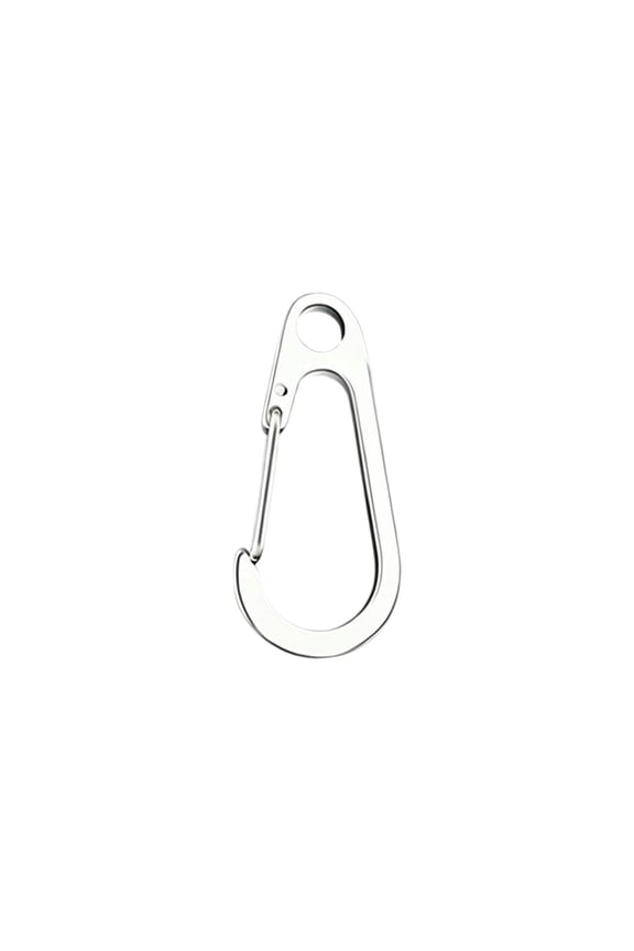 Stainless Steel Spring Clip Keychain - Silver Mini Utility Carabiner Set, Compact Size, Durable Design for Backpacks, Keys & Outdoor EDC Accessory