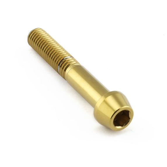 Stainless Steel Tapered Socket Cap Bolt M8x(1.25mm)x50mm