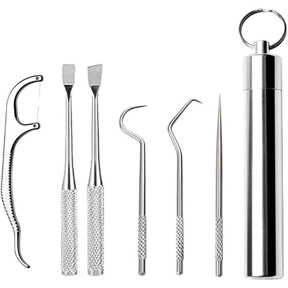 Stainless Steel Toothpick Set 5/7/9 PCS Reusable Metal Toothpicks Cleaning Kit with Holder Stains Remover Dental Tool Teeth Cleaning Tools for Outdoor Picnic Camping Traveling (7pcs)