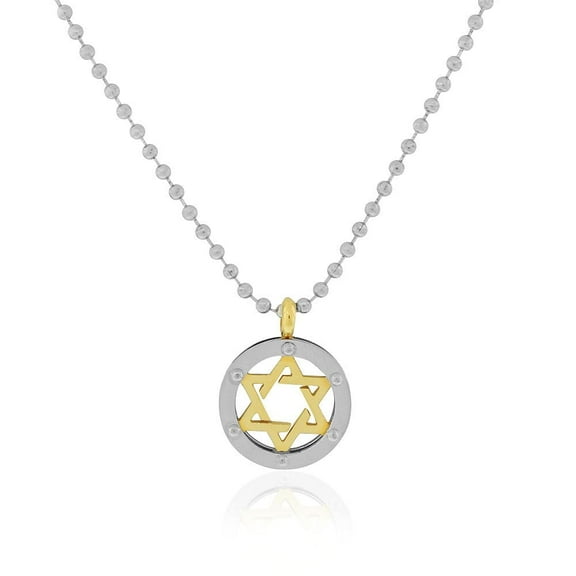 Stainless Steel Two-Tone Jewish Star David Mens Pendant Necklace, 24"