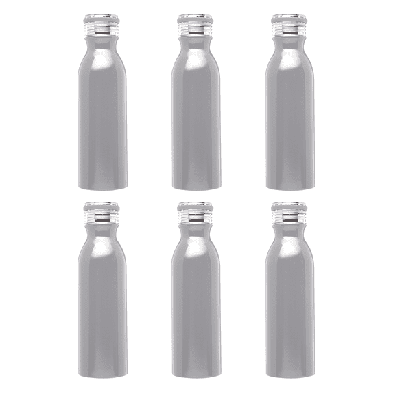 Stainless Steel Water Bottles by Echo 20 oz. Set of 6, Bulk Pack - Double Wall, Perfect for Coffee, Soda, Other Hot & Cold Beverages - Silver