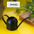 thumbnail image 1 of Stainless Steel Watering Can for Indoor & Outdoor Plants | 500ml/1000ml Capacity | Long Spout Design | Gold, Black, Rose Gold Options | Small Metal Watering Can for Houseplants & Bonsai, 1 of 6