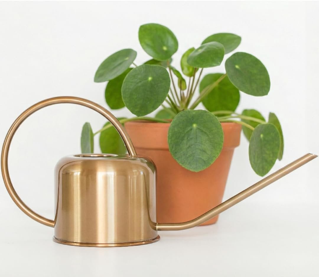 Stainless Steel Watering Can for Houseplants by Houseplant Resource Center  1L Capacity for Indoor/Outdoor Plants in Brushed Gold