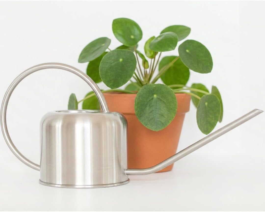 Stainless Steel Watering Can for Houseplants by Houseplant Resource Center  1L Capacity for Indoor/Outdoor Plants in Brushed Silver