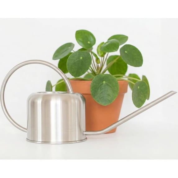Stainless Steel Watering Can for Houseplants by Houseplant Resource Center 1L Capacity for Indoor/Outdoor Plants in Brushed Silver